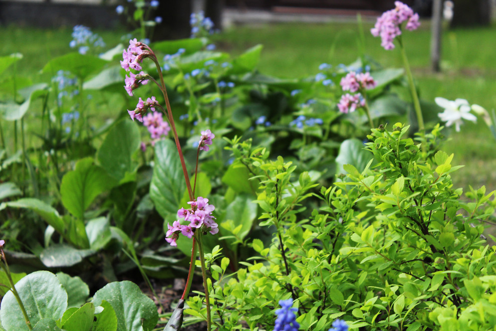 Генеральские дачи