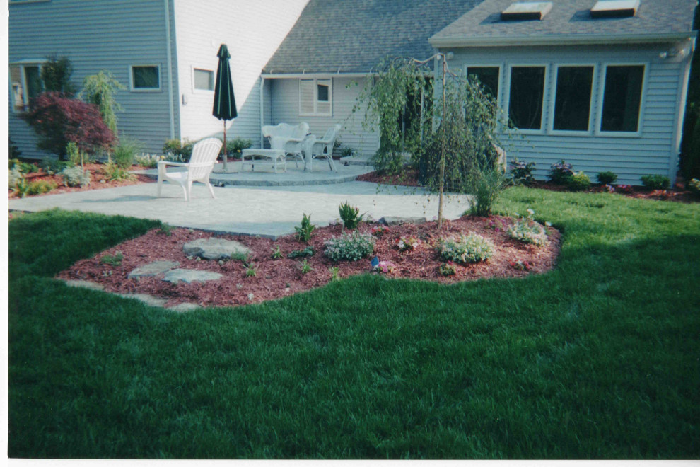 Backyard oasis and complete renovation