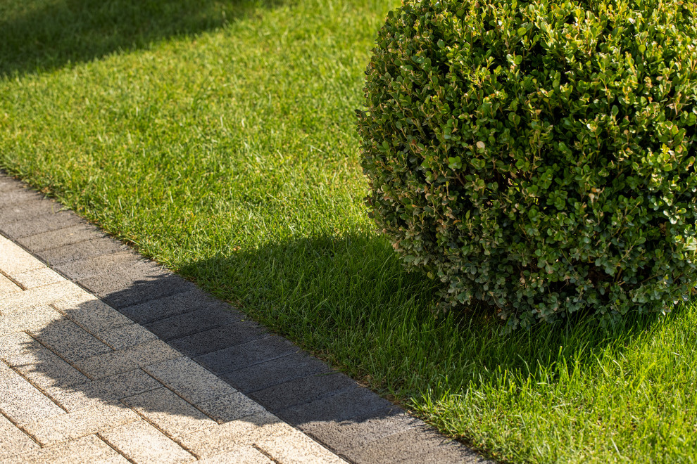 Проект озеленения частного дома, Сочи