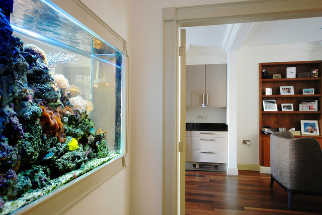 Aquarium Architecture modern-kitchen