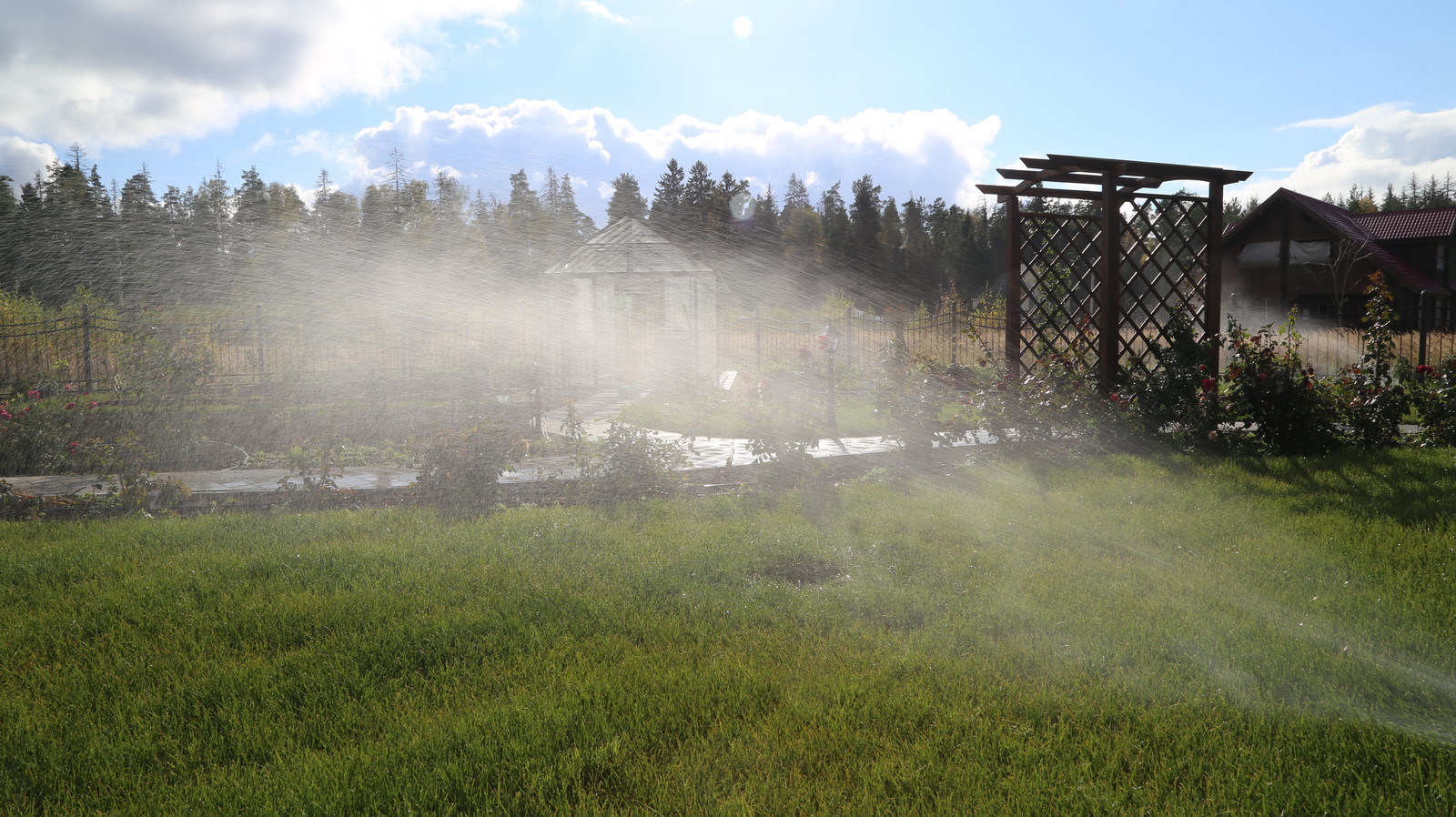 Проект автополива 37 соток