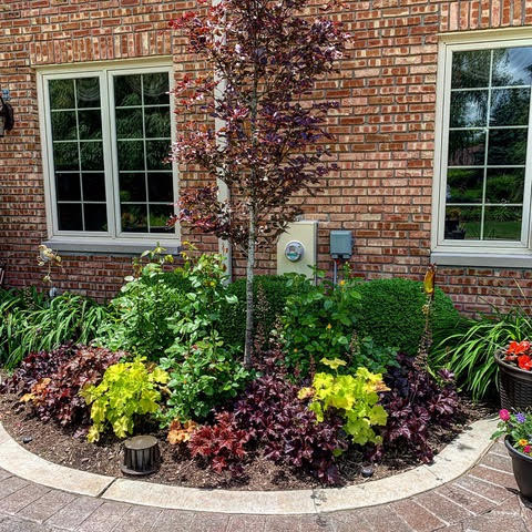 Mature Planting in Kildeer