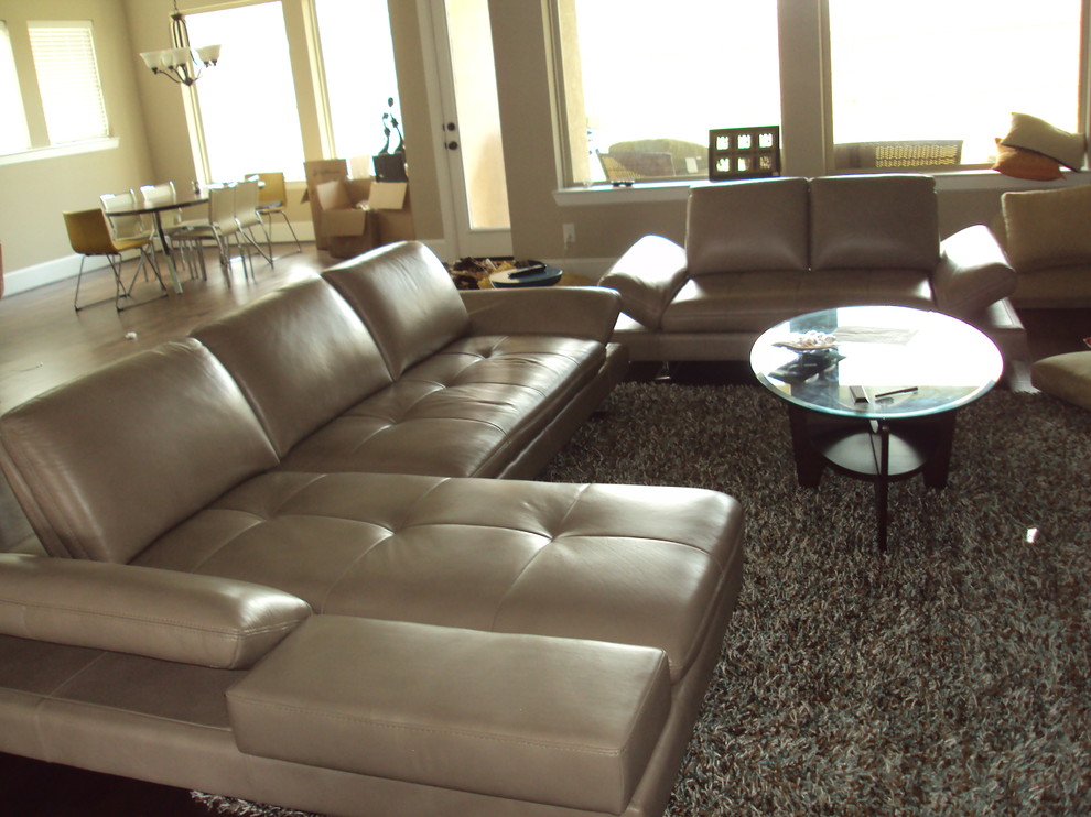 Sasha Sectionals - Tan Leather - Contemporary - Houston - by K&D Home