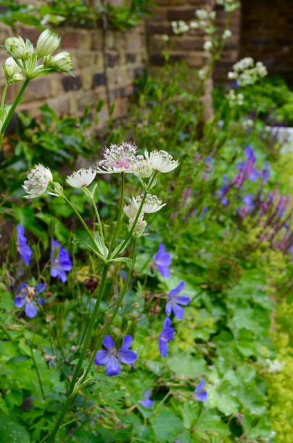 Putney Garden trendy-have