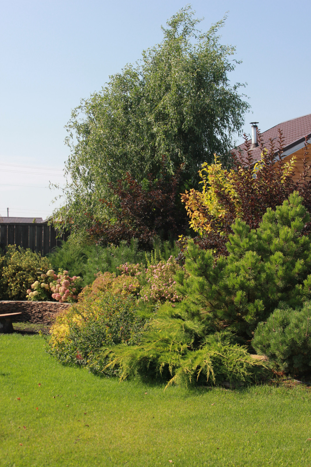 В гостях у Сказки