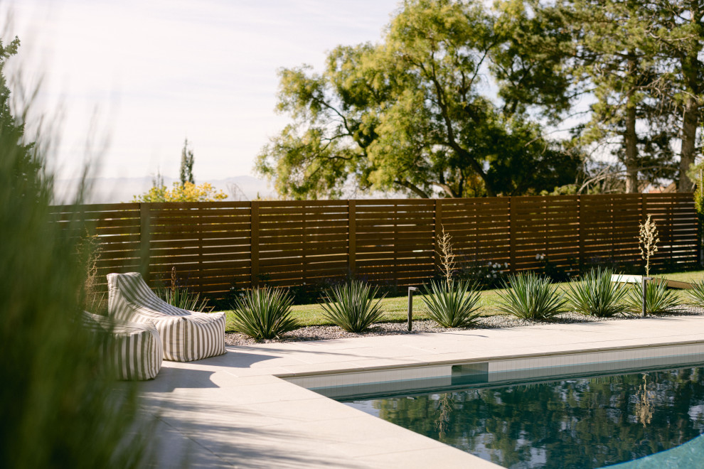 Foto de piscina alargada contemporánea grande rectangular en patio trasero con paisajismo de piscina y adoquines de hormigón