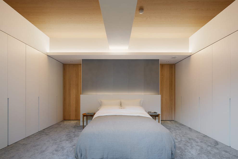 Cette image montre une grande chambre avec moquette minimaliste avec un mur blanc et un sol gris.