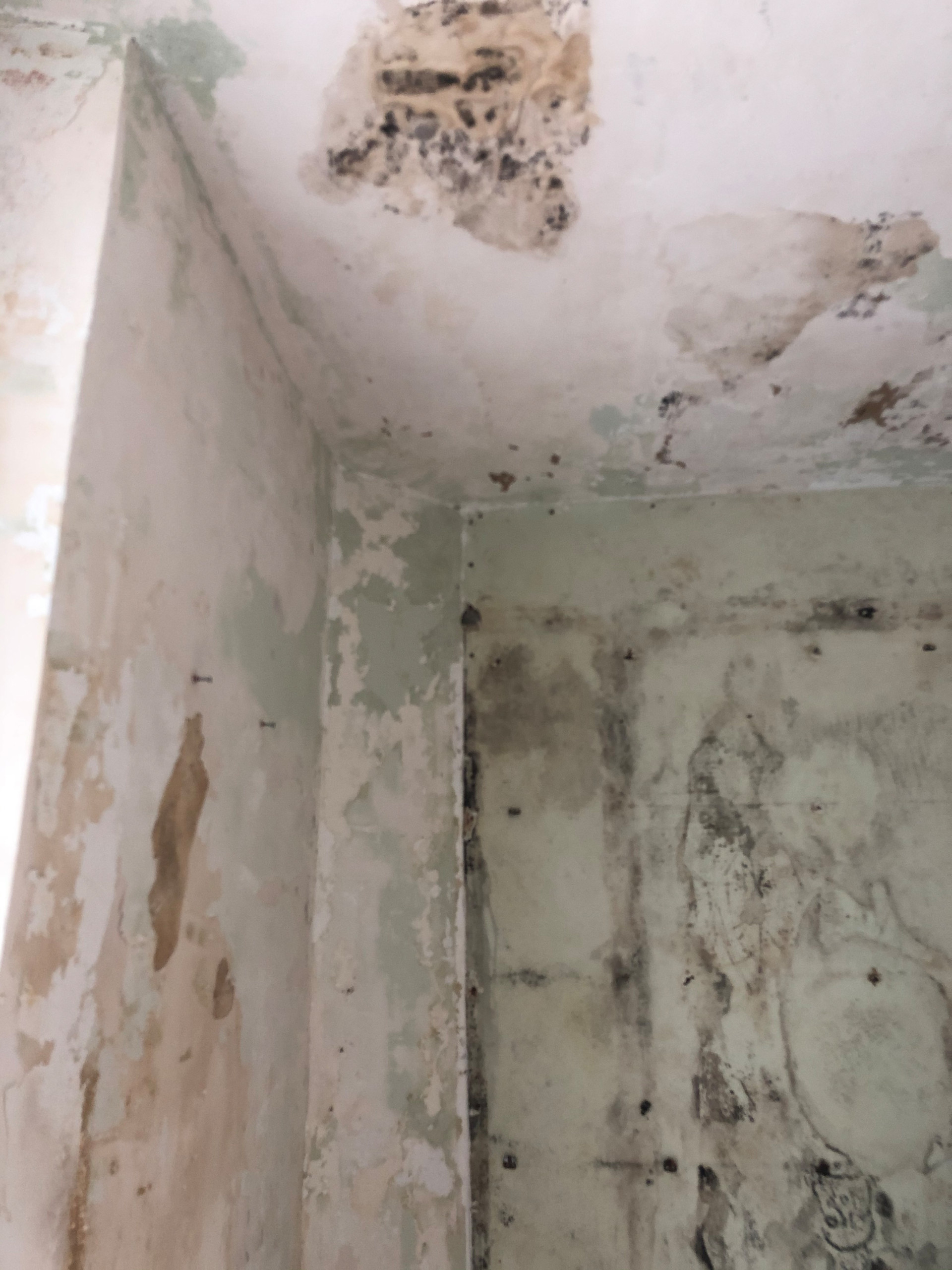 Rénovation d'un studio Paris 18ème