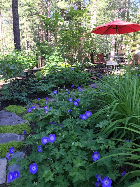 Lake Tahoe Landscape Designs