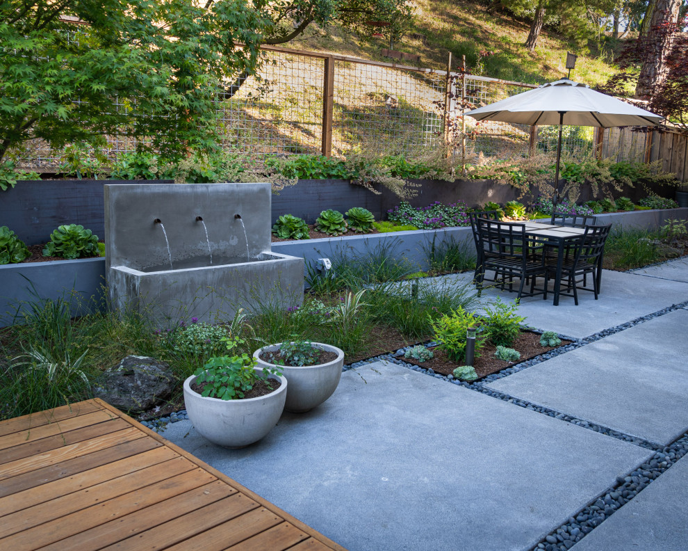 На фото: засухоустойчивый сад среднего размера на заднем дворе в современном стиле с мощением тротуарной плиткой