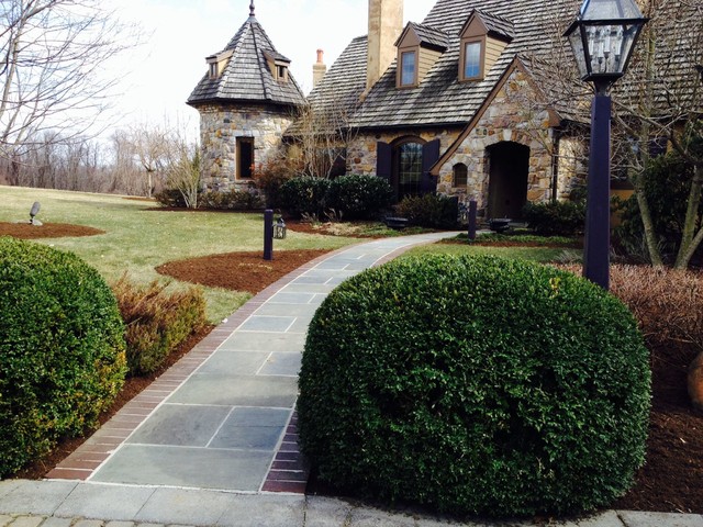 Landscape american-traditional-garden