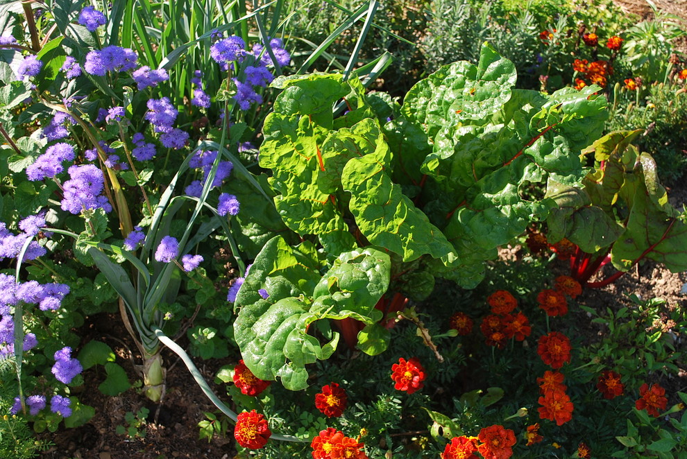 Country Farmhouse Garden