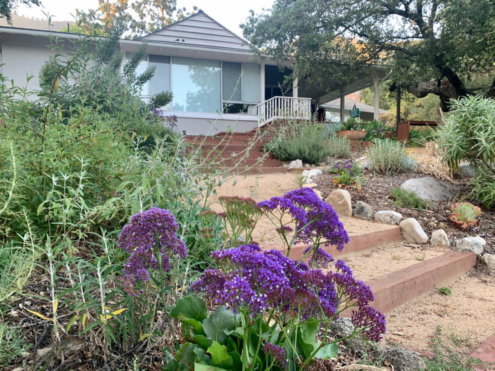This is an example of a large scandi front xeriscape partial sun garden for summer in Los Angeles with a rockery and decomposed granite.