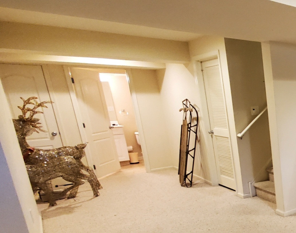 McAvoy Basement