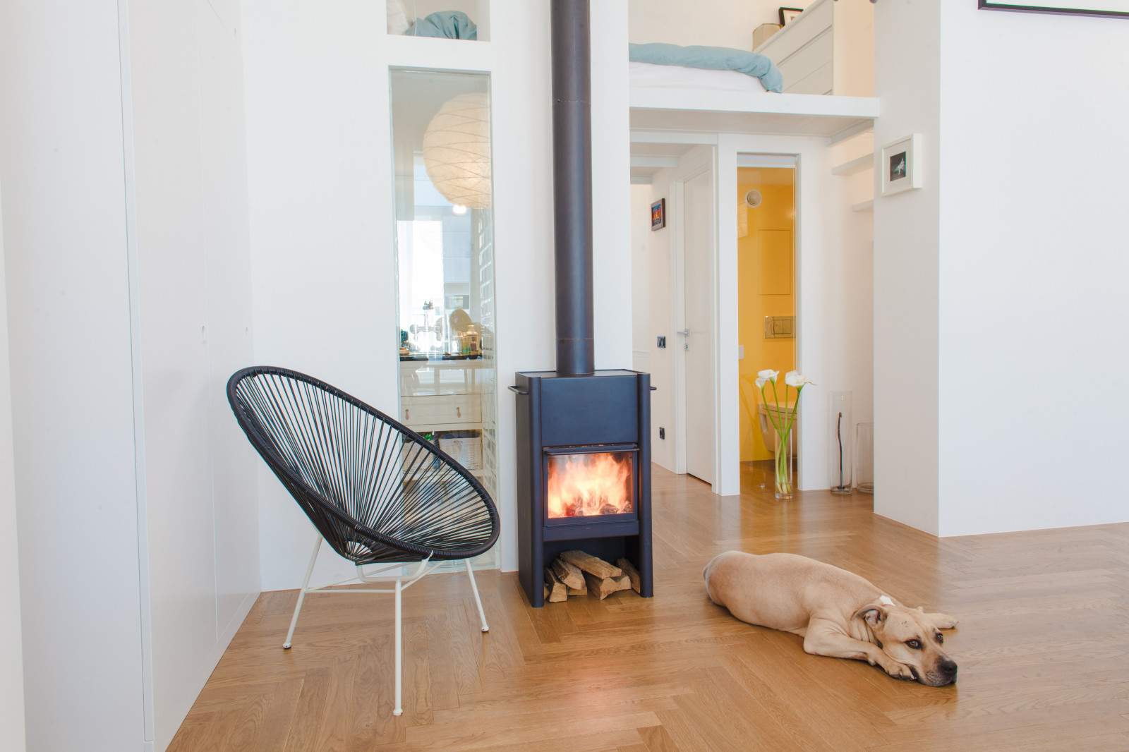 стрелецкая