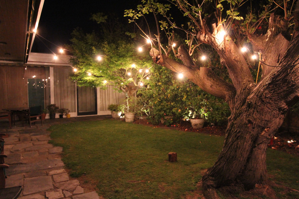 Design ideas for a small contemporary backyard garden in Melbourne.