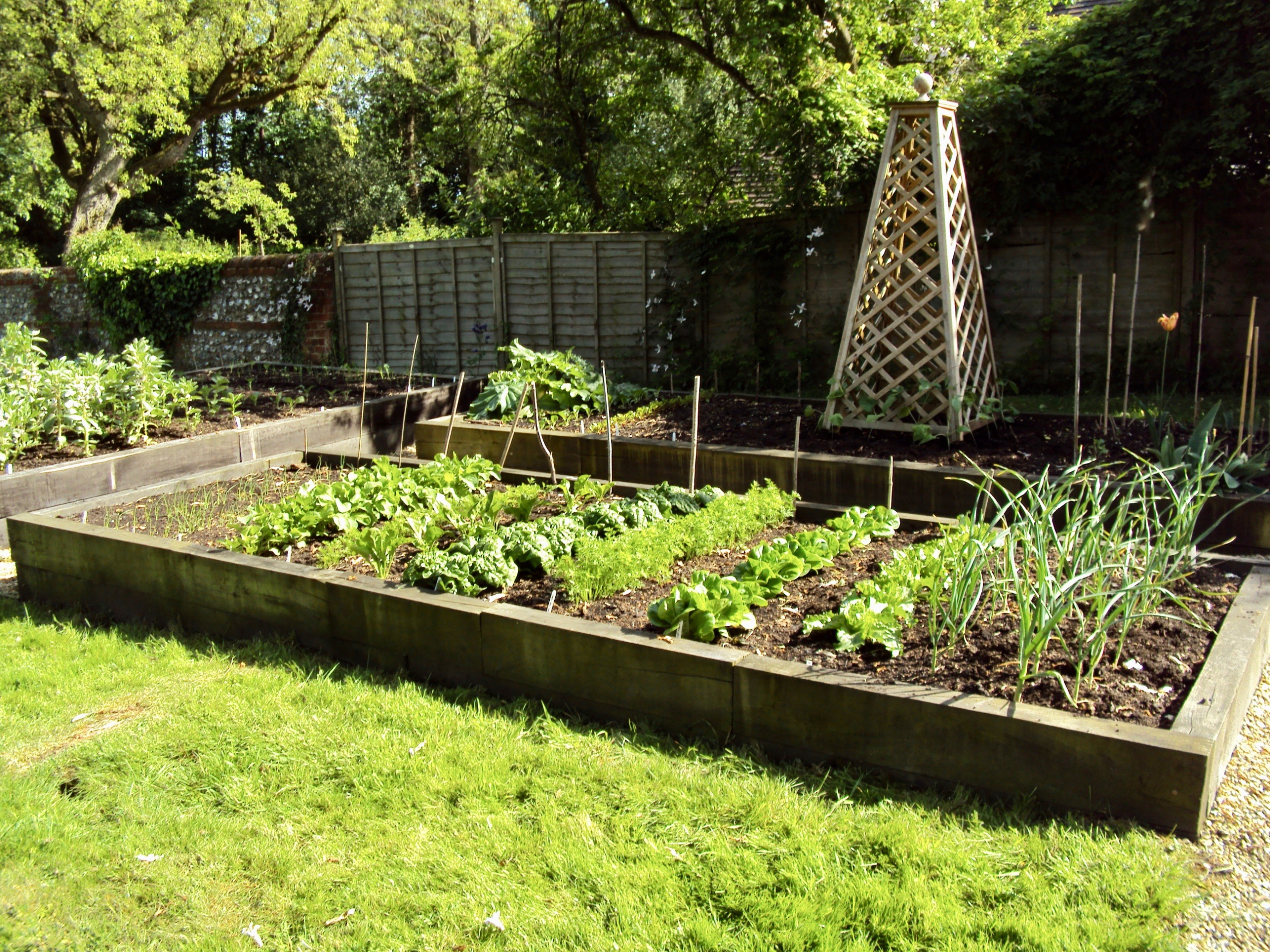Vegetable Patches
