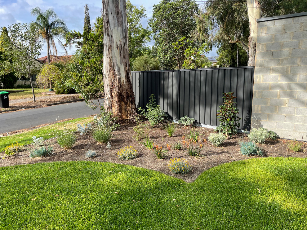 Photo of a mid-sized contemporary front yard partial sun xeriscape in Adelaide with natural stone pavers.
