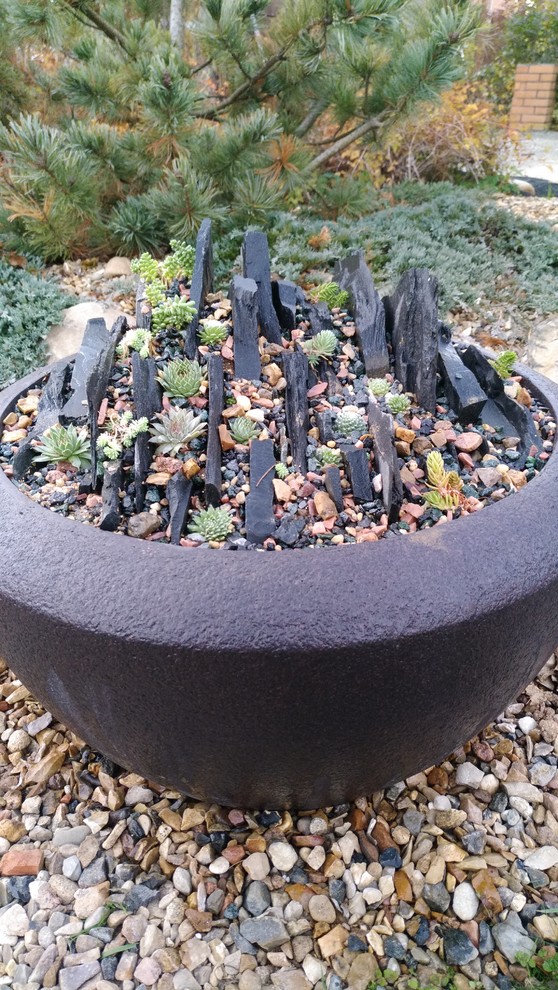 Альпинарии