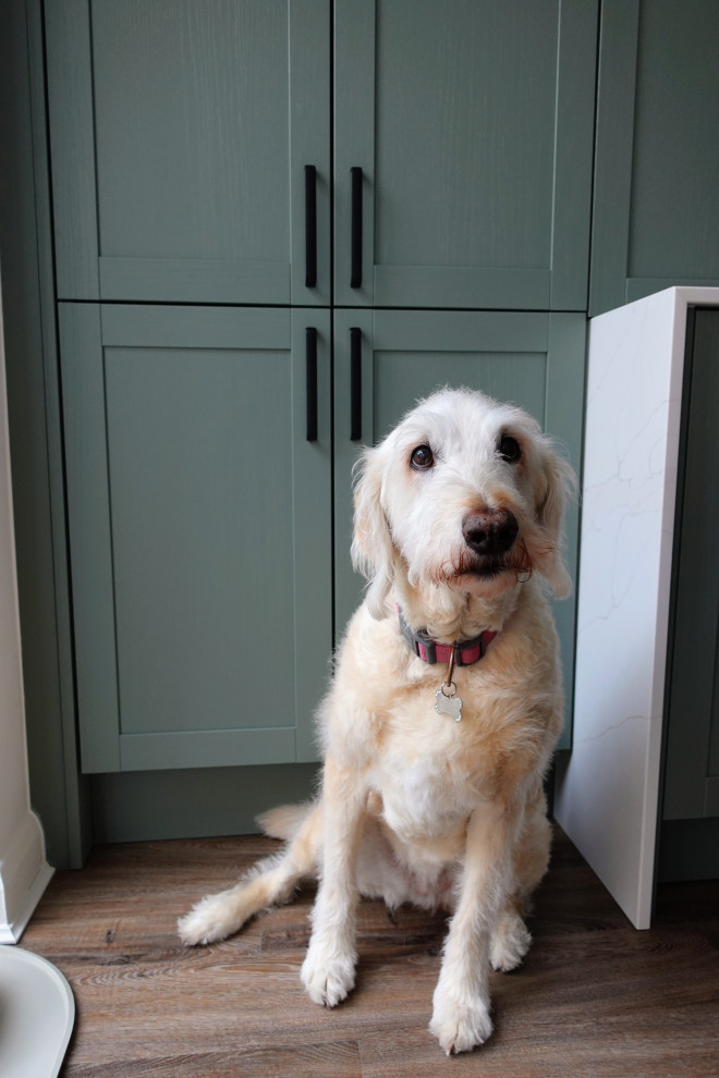 The Lutterworth Kitchen II