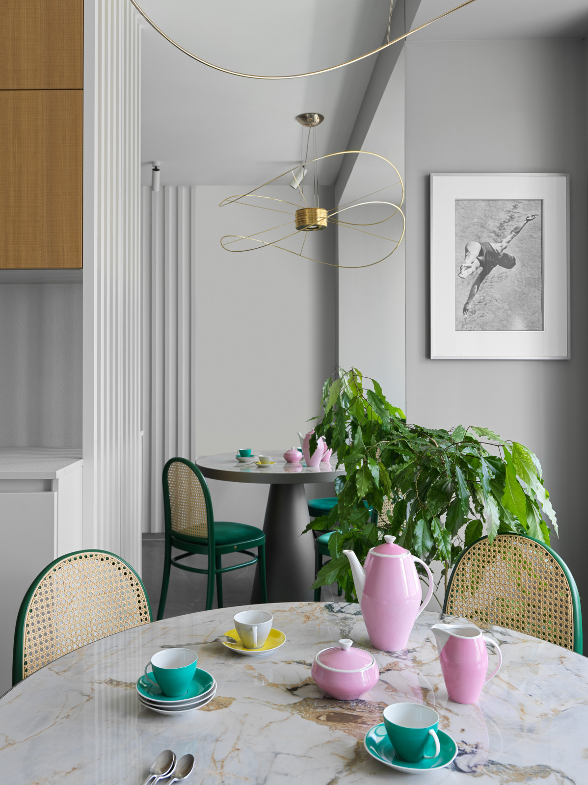 Проект Лебедь