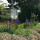 Leafscape: Garden Management, Renovation & Design