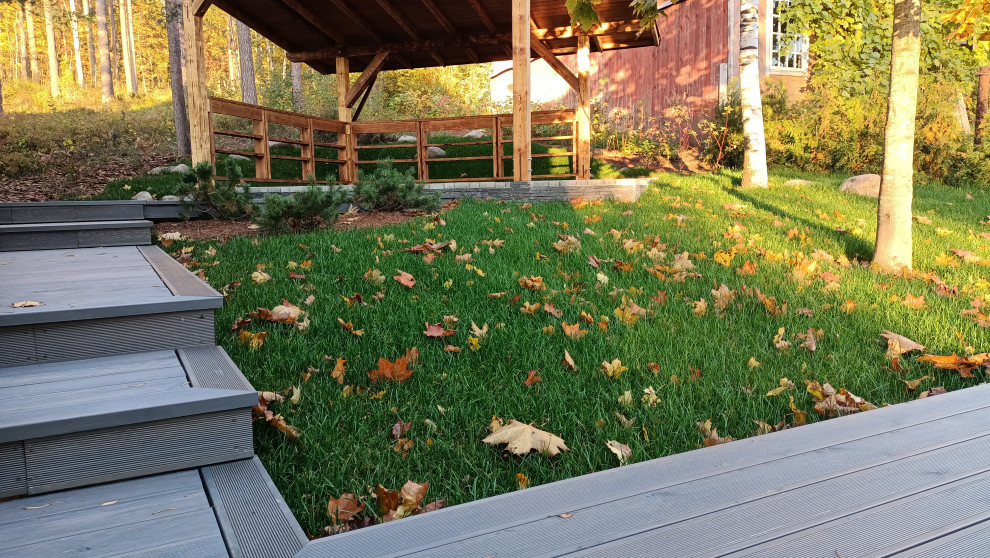 Лесная сказка в Мичуринском