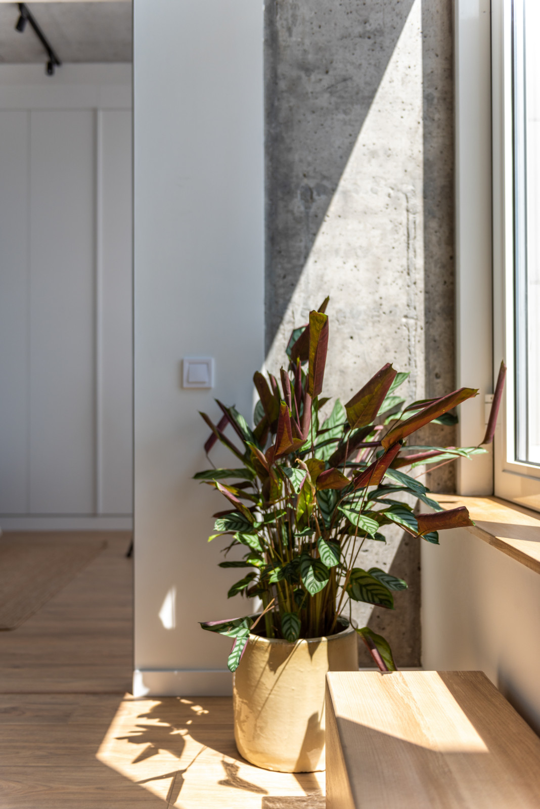 Двухуровневая квартира 130м2 с террасой и панорамным видом