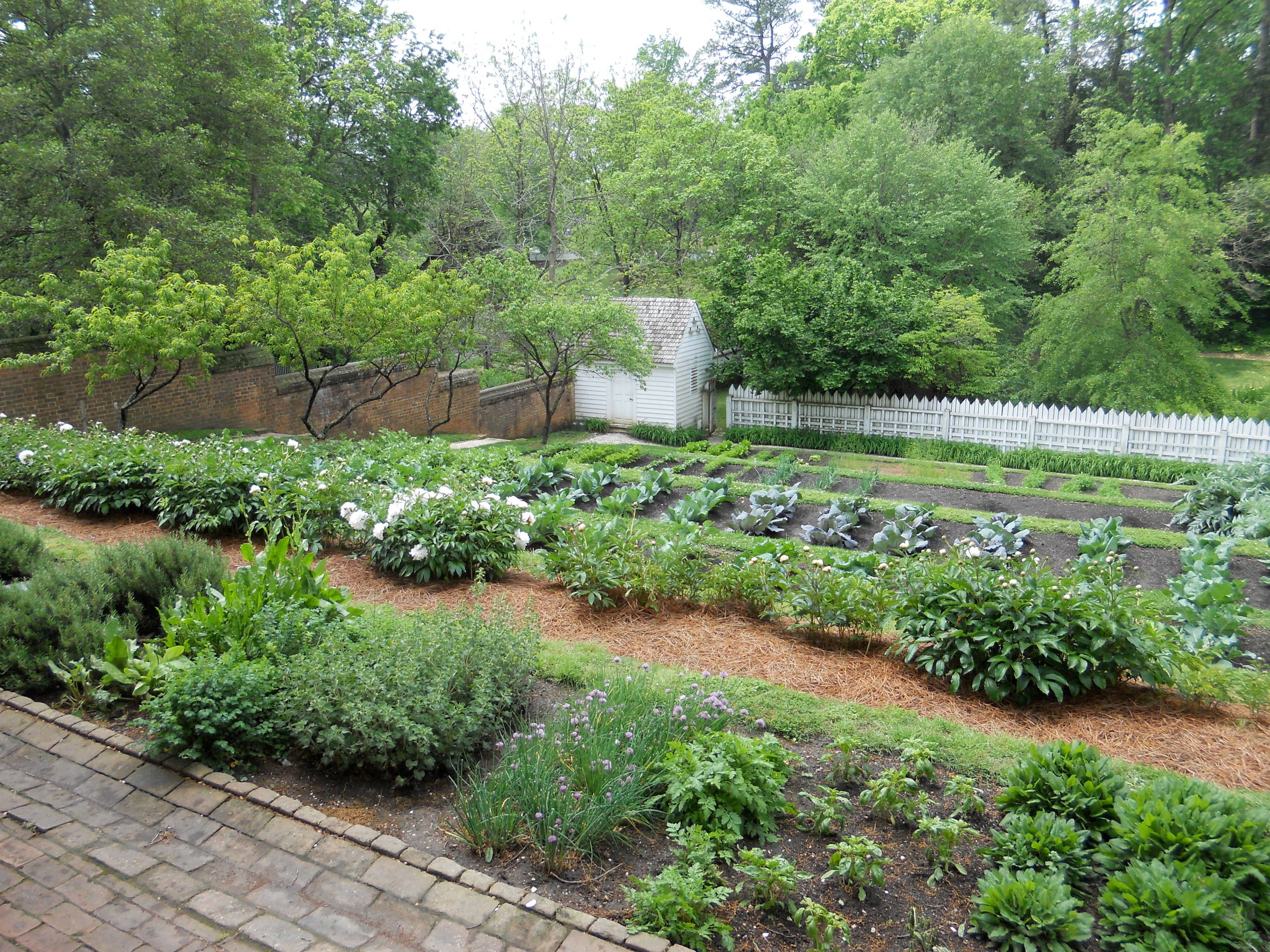 Spring Garden Ideas From Colonial Williamsburg, image size:2560x1920