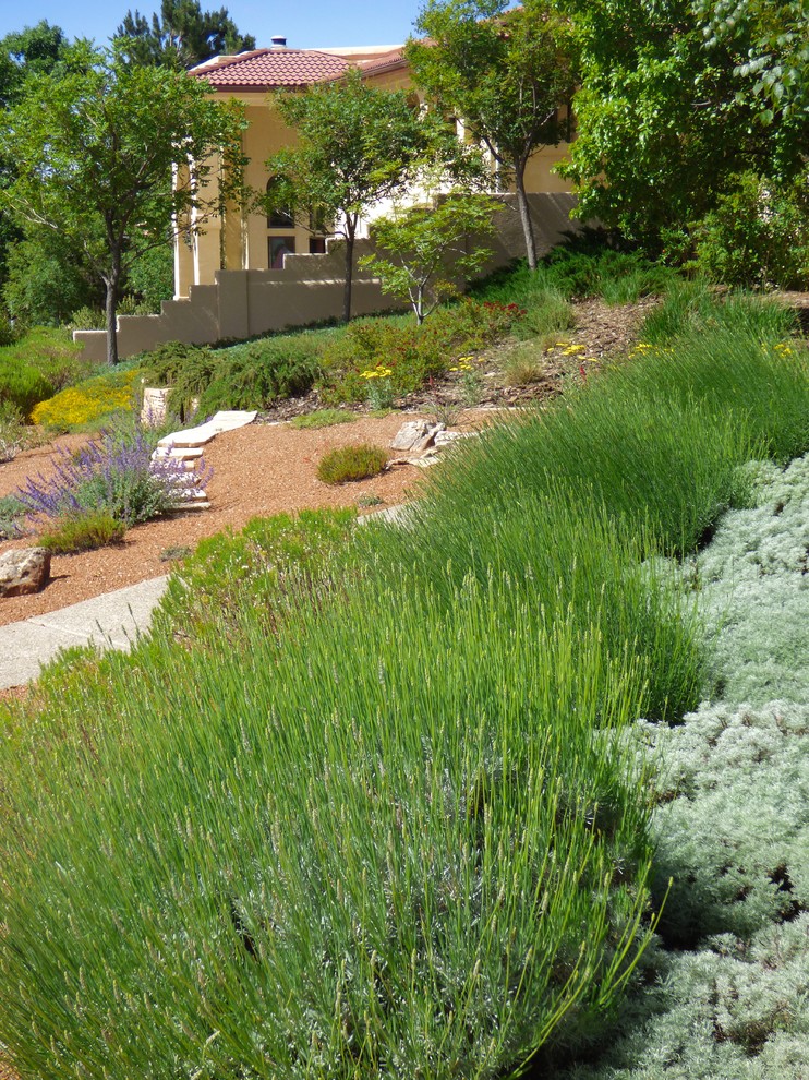 Идея дизайна: солнечный, весенний засухоустойчивый сад на переднем дворе в стиле фьюжн с подпорной стенкой, хорошей освещенностью и покрытием из гравия