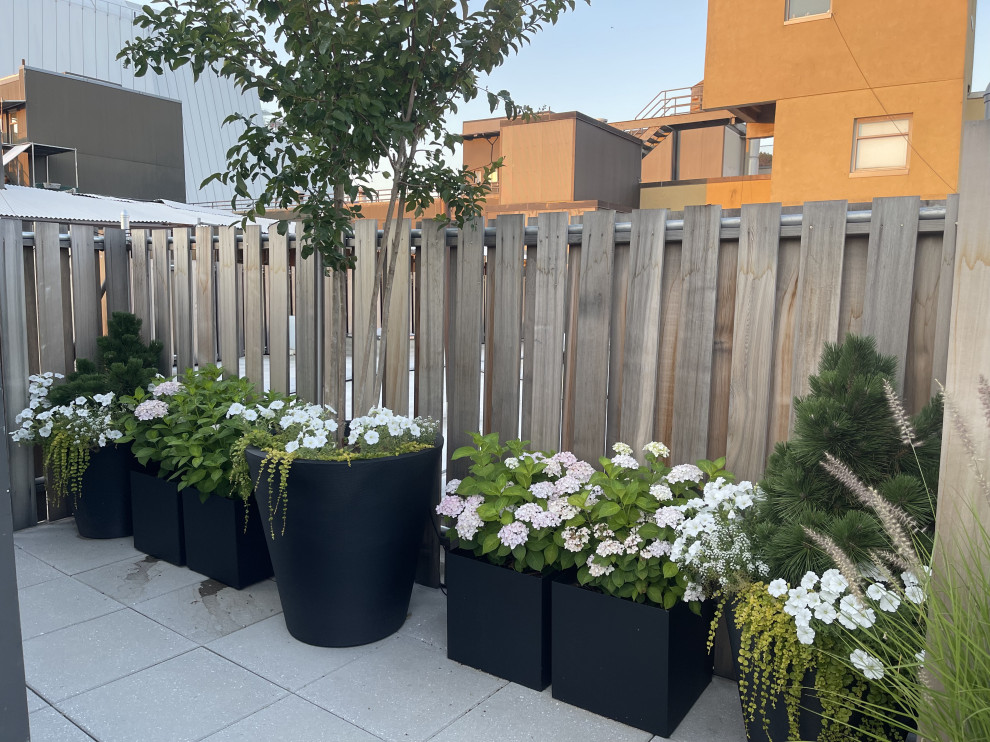 West Village Roof Garden