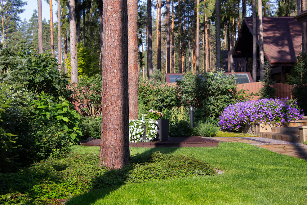 Еловая аллея