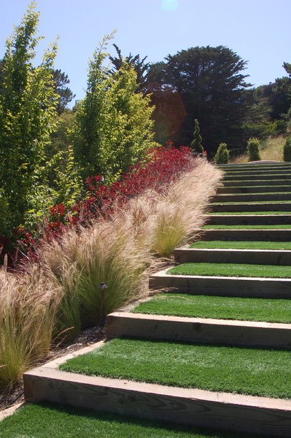 CONTEMPORARY HILLSIDE GARDEN - Contemporary - Landscape 