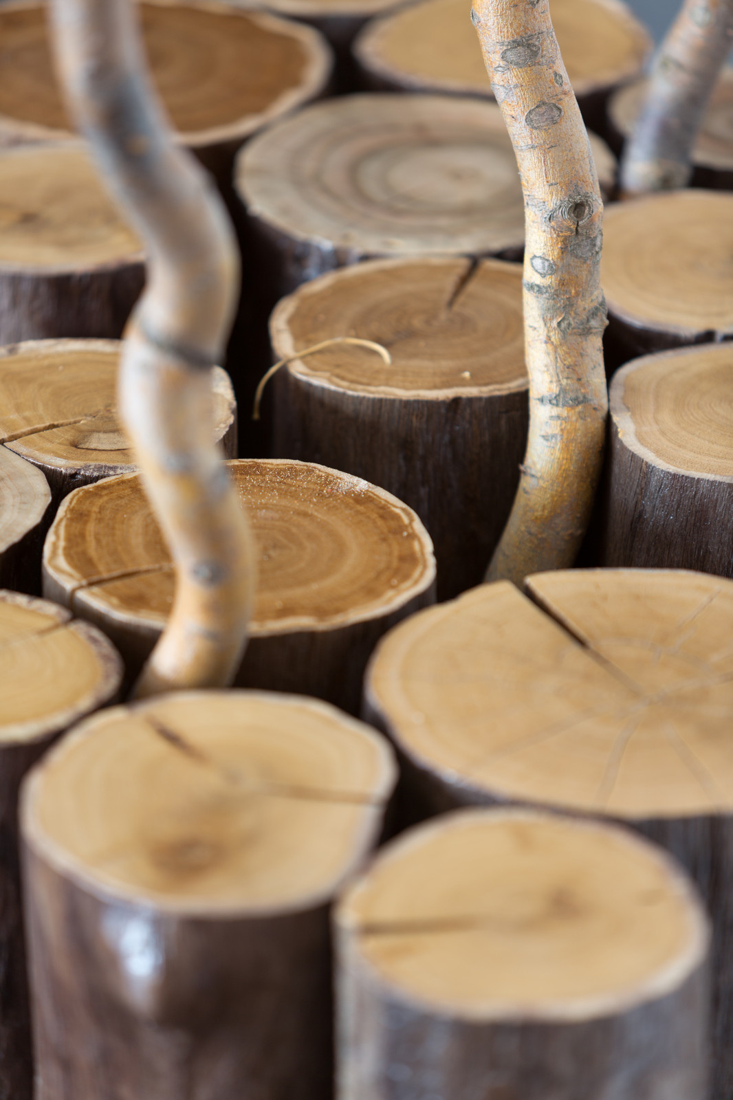 bureau RYNTOVTDESIGN