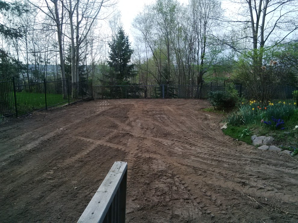 Photo of a mid-sized full sun backyard landscaping.