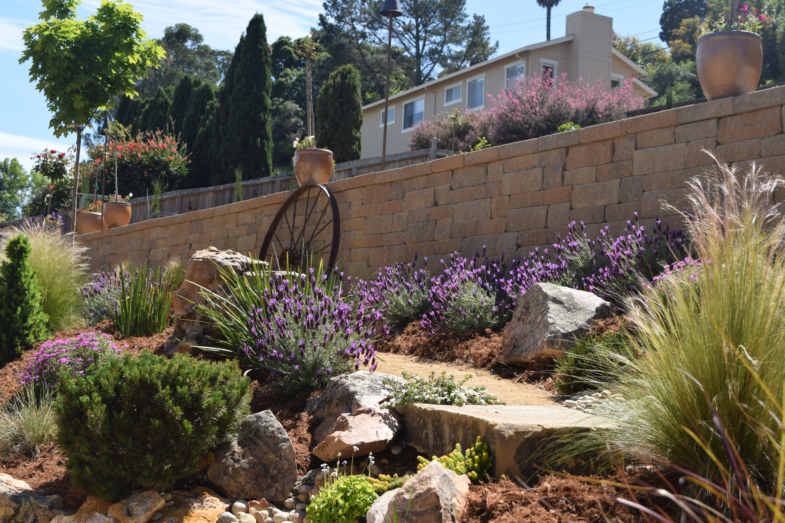 Mediterranean Backyard Transformation - Tiburon, CA