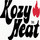 Kozy Heat Fireplaces