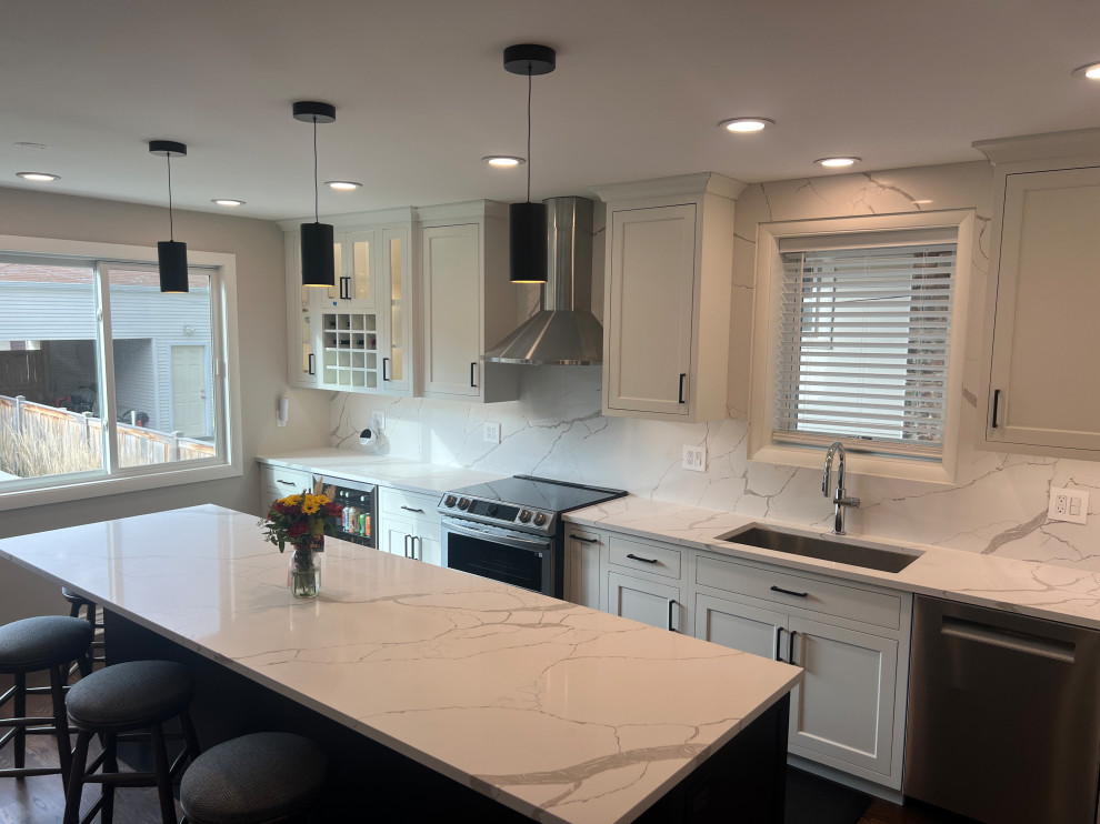 Chicago Kitchen/Dining Renovation