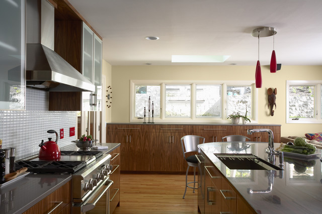 Contemporary Kitchen trendy-koekken