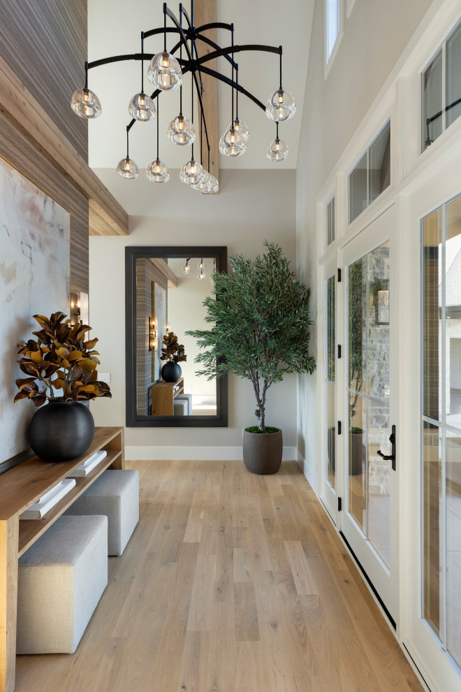 Transitional light wood floor and beige floor single front door photo in Minneapolis with gray walls and a glass front door