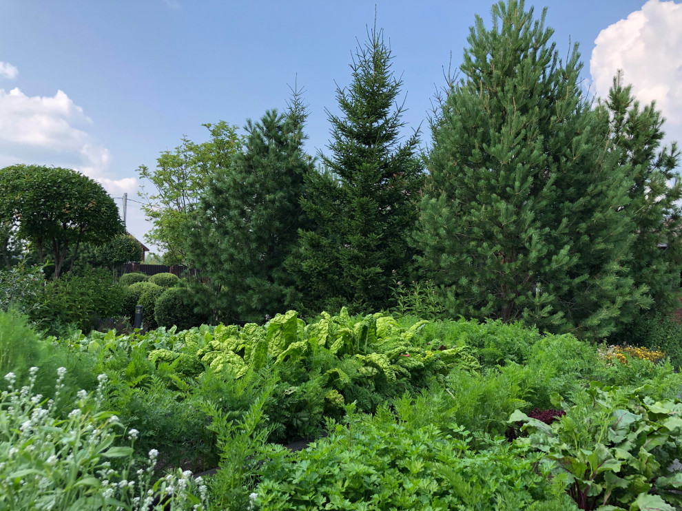 Счастливый сад