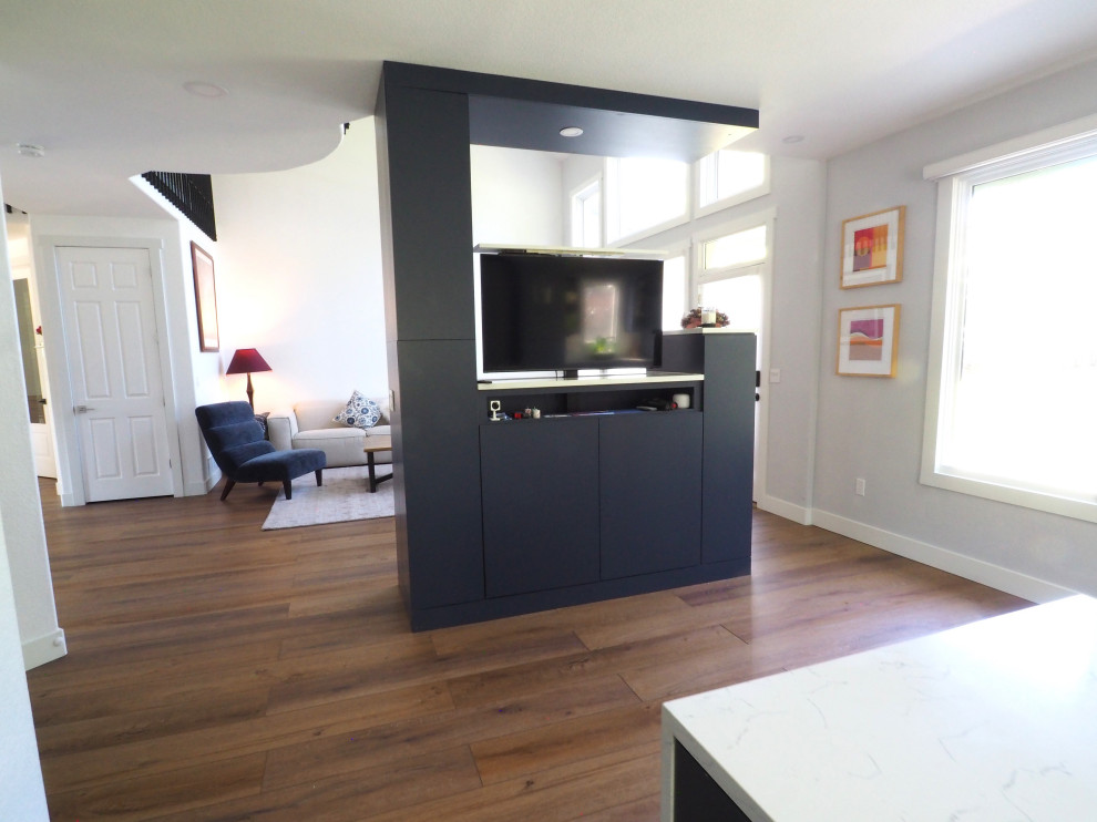 Greenwood Village remodel