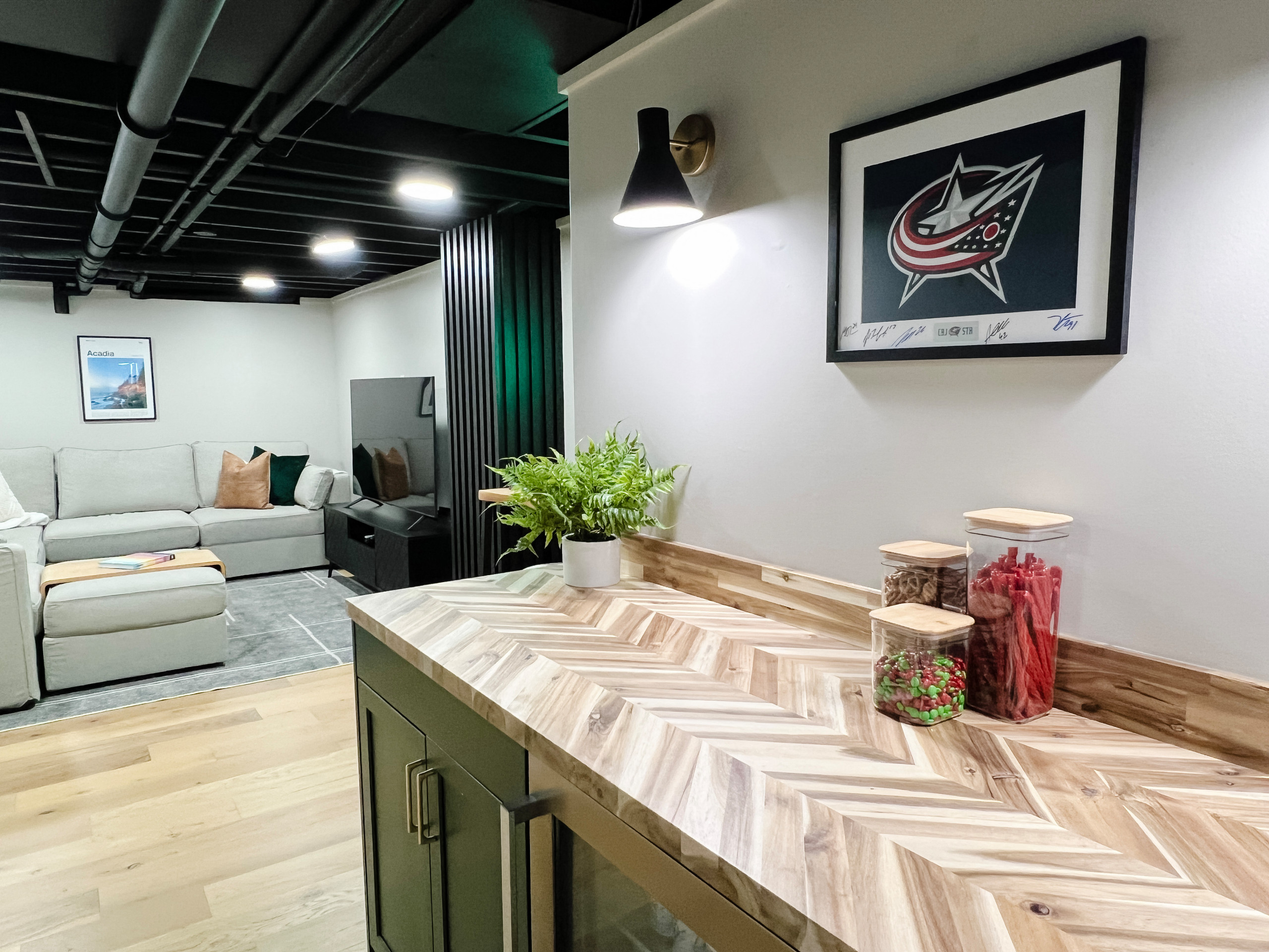 Family Rooms & Basements
