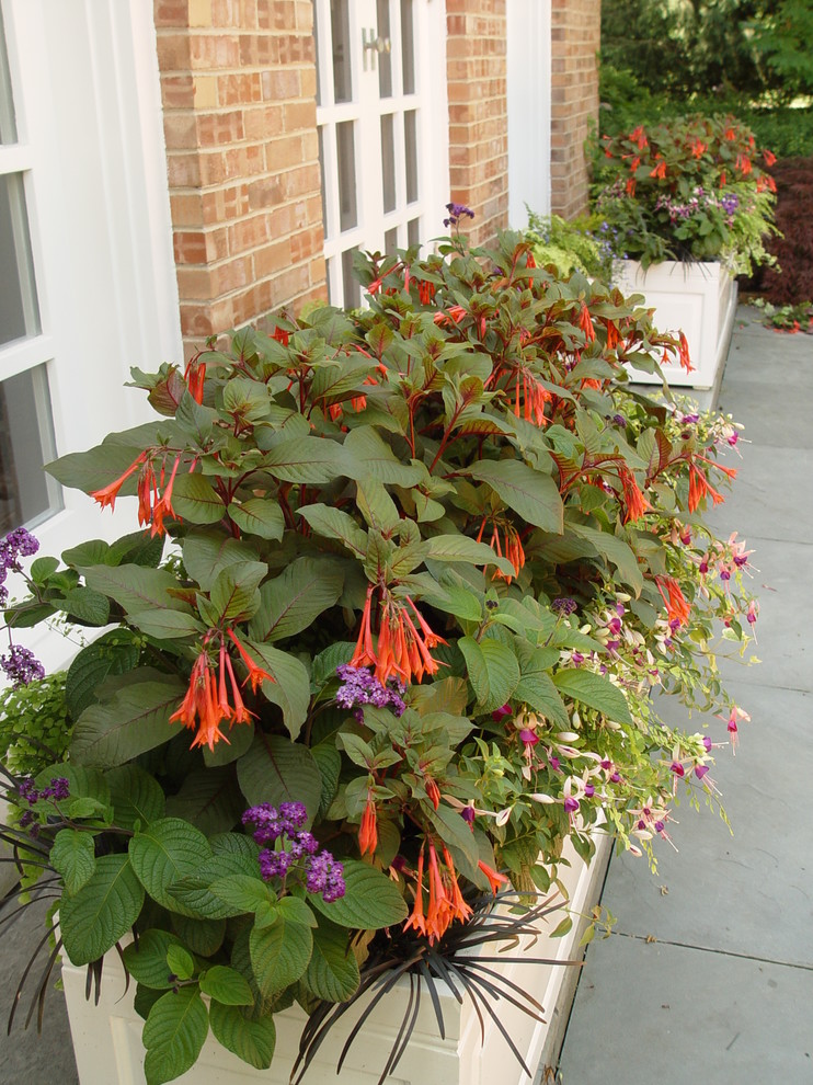 Photo of a traditional front yard partial sun garden for summer in Chicago with a container garden.