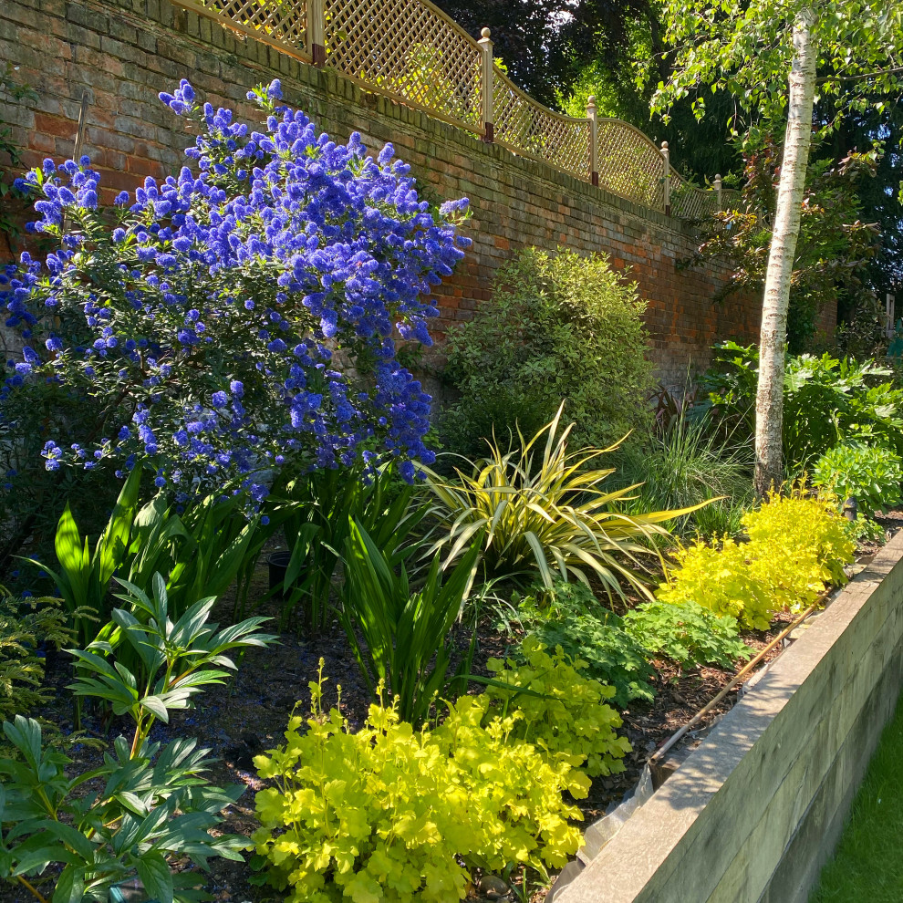This is an example of a traditional garden in London.