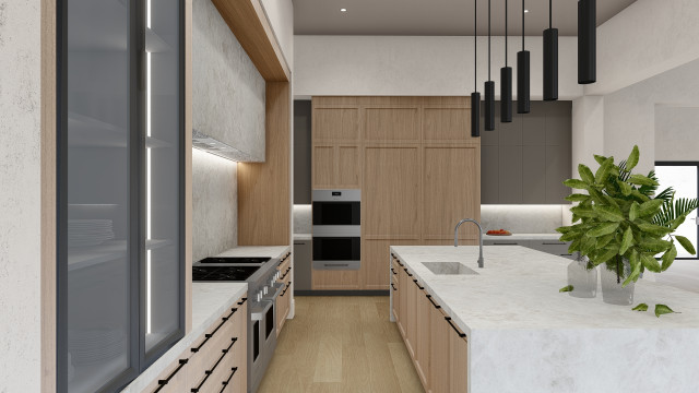 Lincoln transitional kitchen transitional-rendering