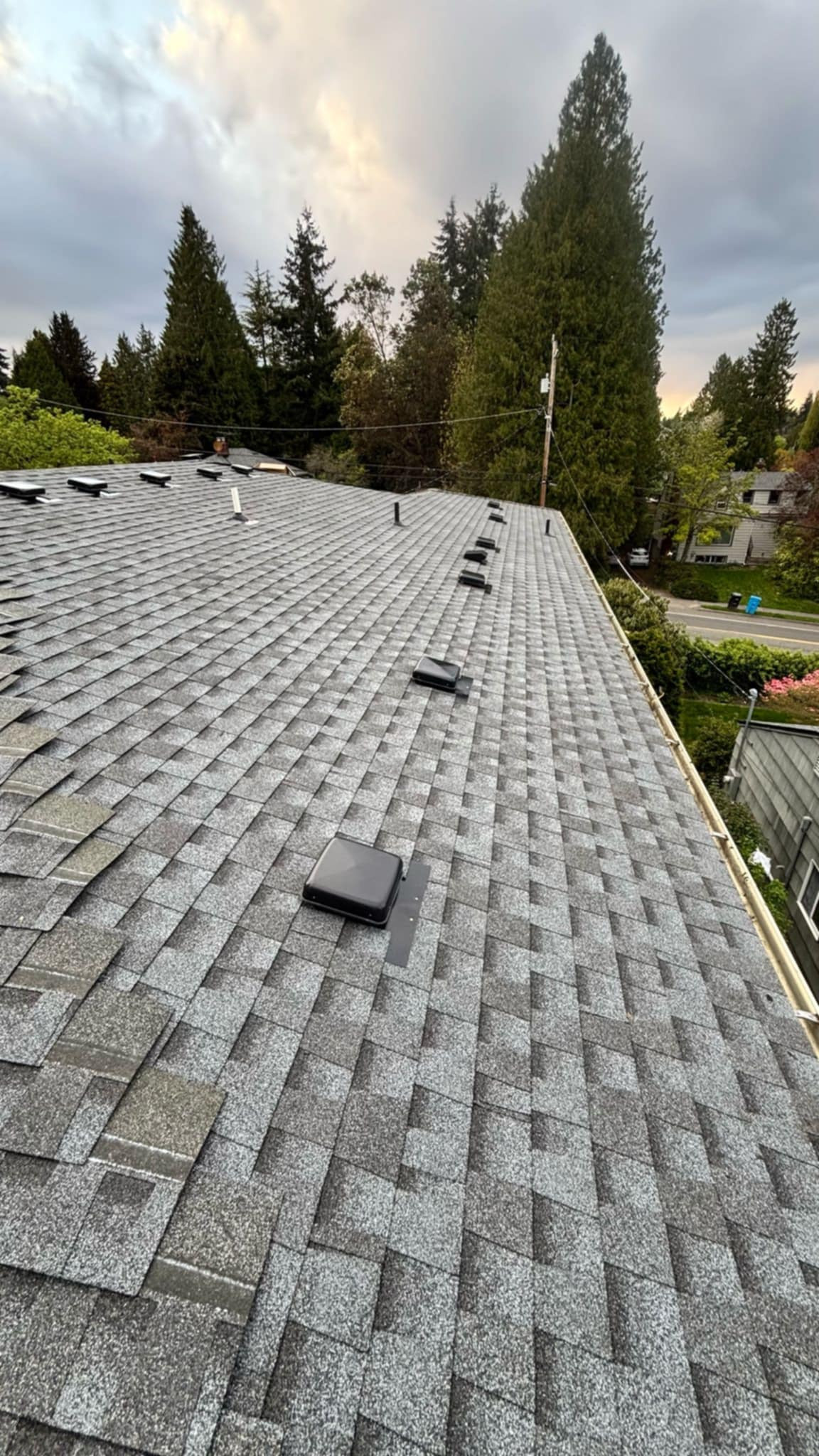 Roof Replacement