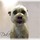pam_nelsen