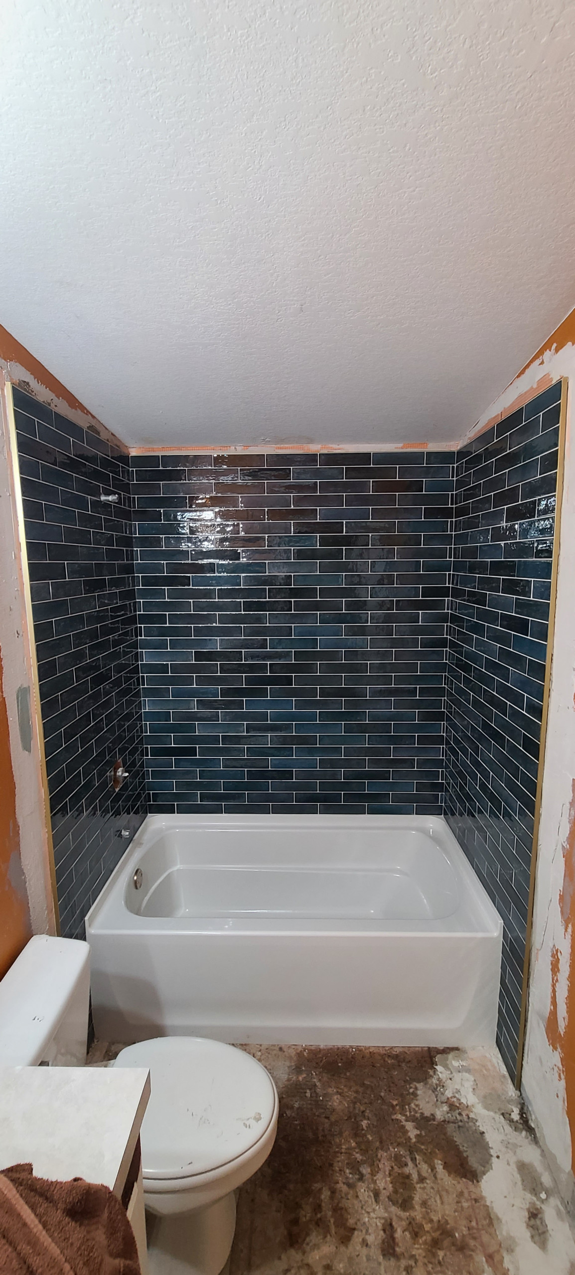 Shower Remodel