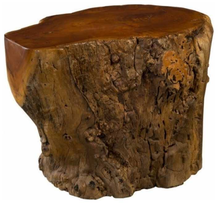 28 L Side Table Solid Exotic Jackfruit Wood Burl Natural Free Form Table Solid Exotic Jackfruit Wood Burl